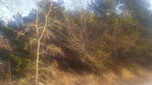 TBD County Rd 1772