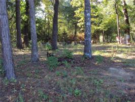 191 Elm Lot 4,15