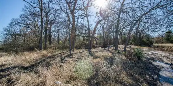 Lot 6 L 6 SE County Road 3124