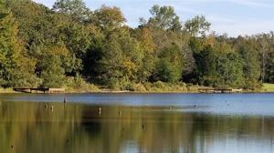 174 Waters Edge Drive