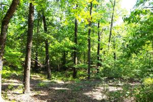 Lot 377 Timber Ridge