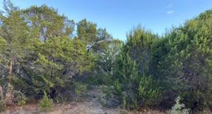 1109 Apache Ridge Road