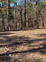 575 Parish Camp Road