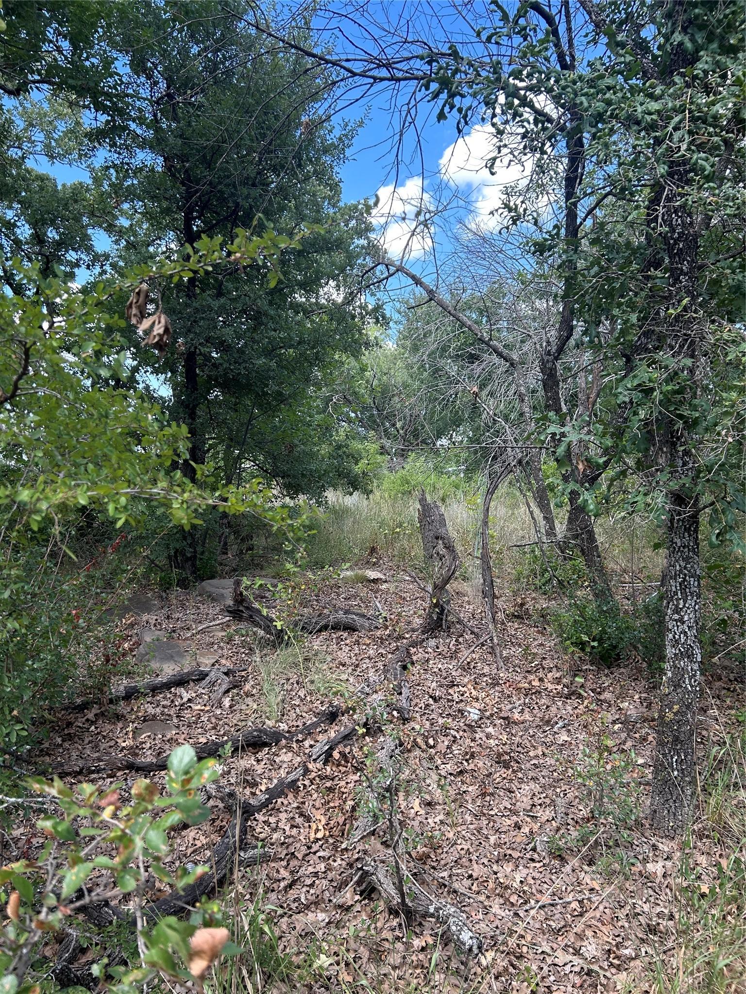 Image 3 Image 3