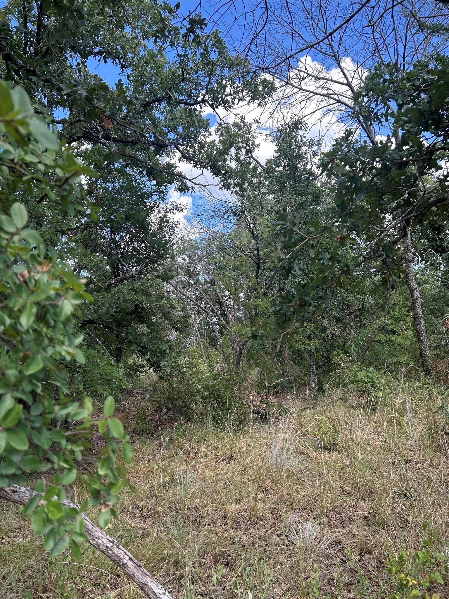 Image 4 Image 4