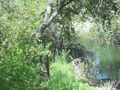 9070 County Road 461
