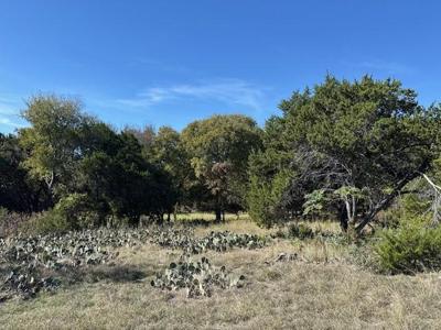19022 Bluebonnet Drive