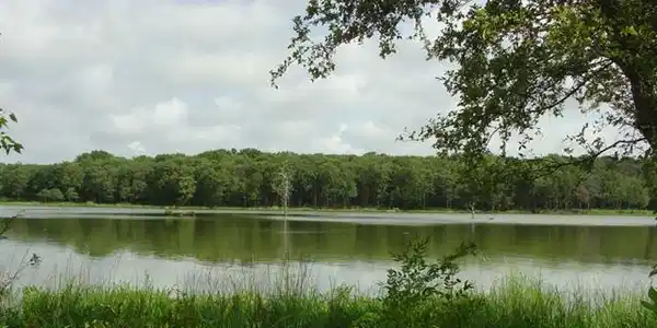 The Shores Lot 249