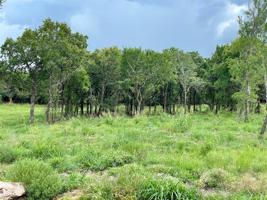 Lot 60 Greene Road