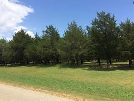 576 Brandon Way