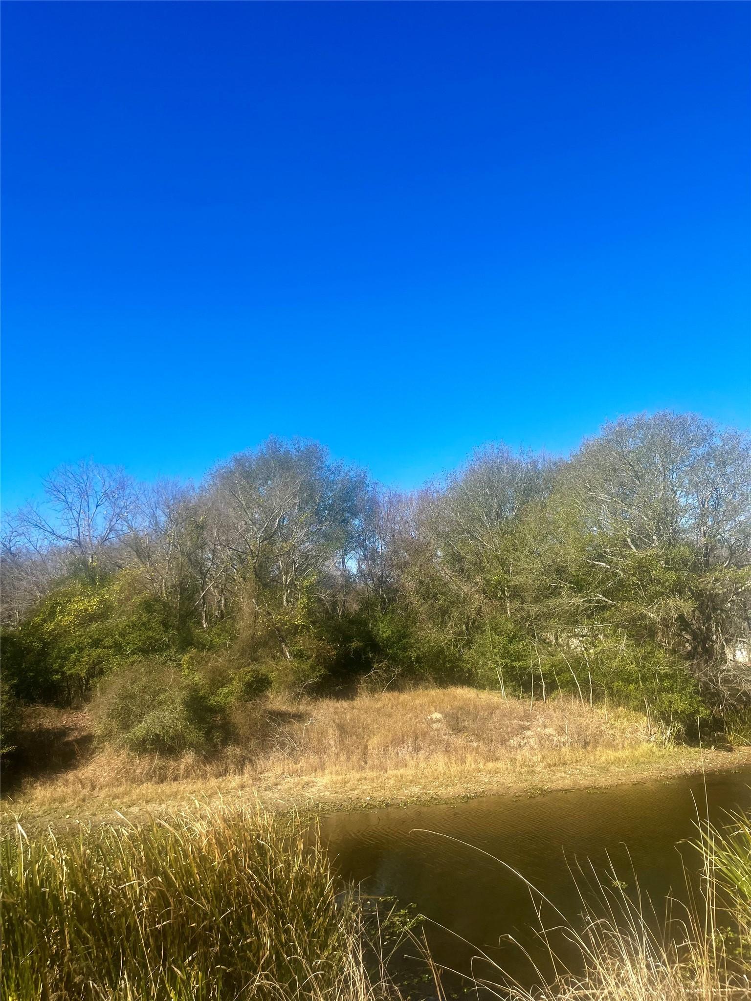 Image 2 Image 2