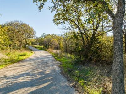 TBD Cottontail Trail