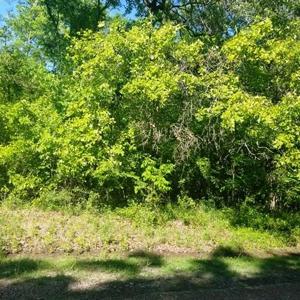 Lot 280-B, Alamo Road