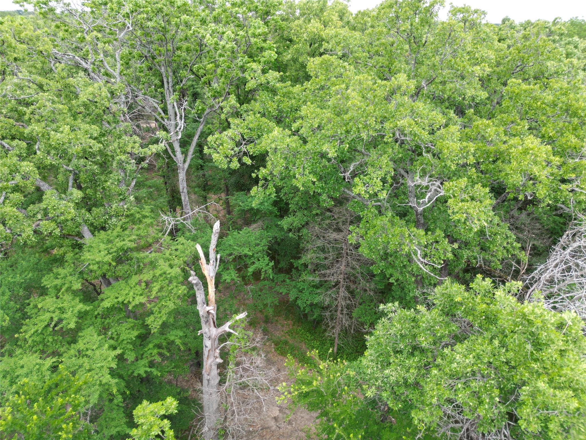 Image 3 Image 3