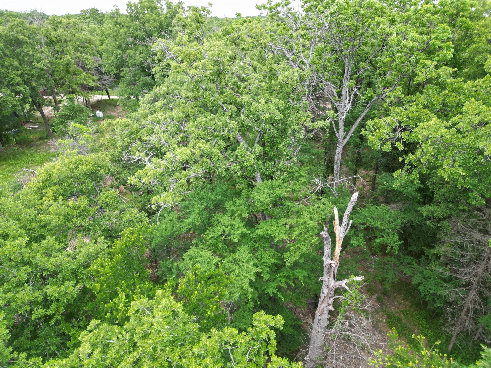 Image 4 Image 4