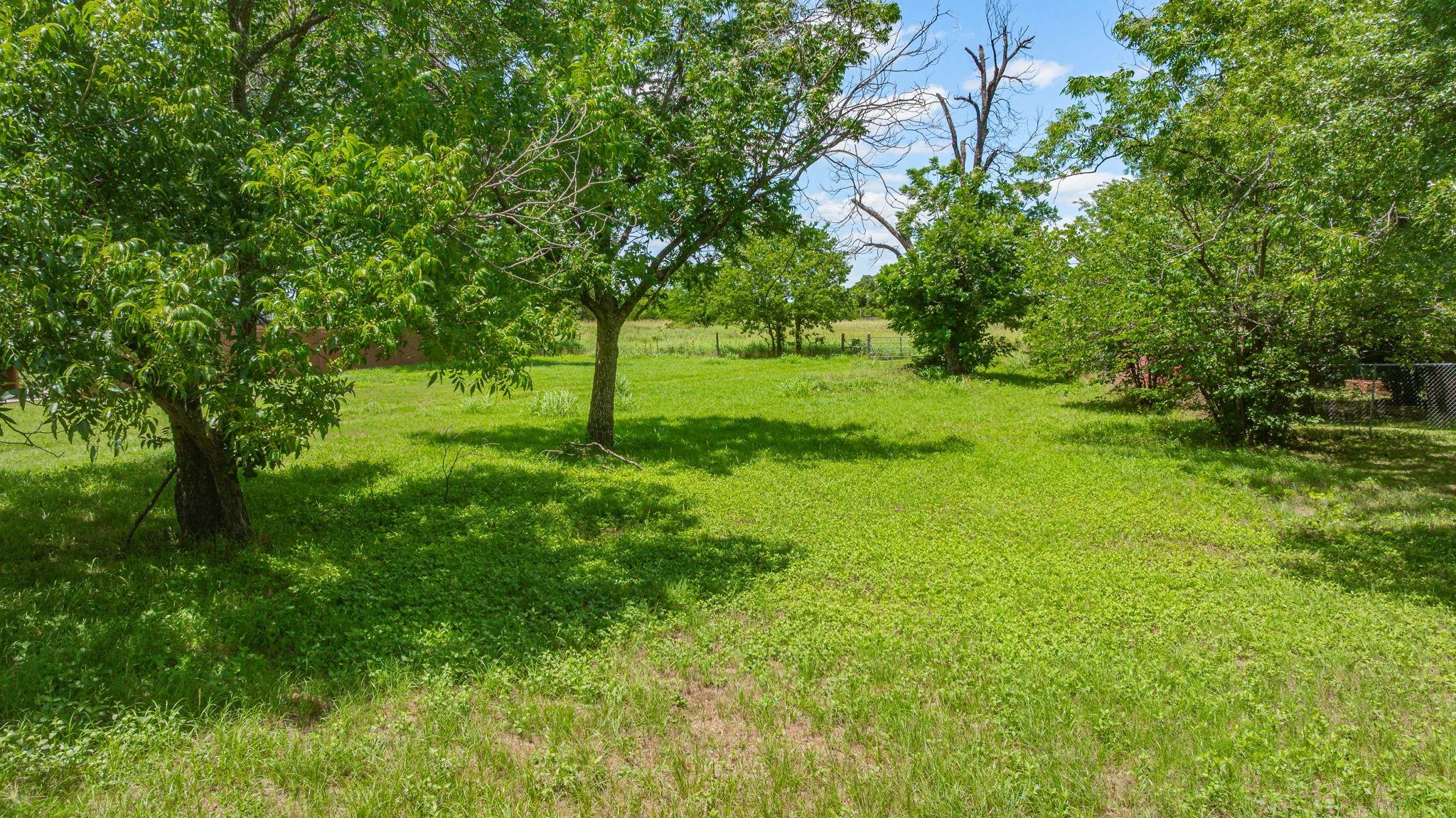 Image 1 Image 1