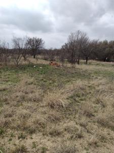 LOT #741 - Downhaul Way
