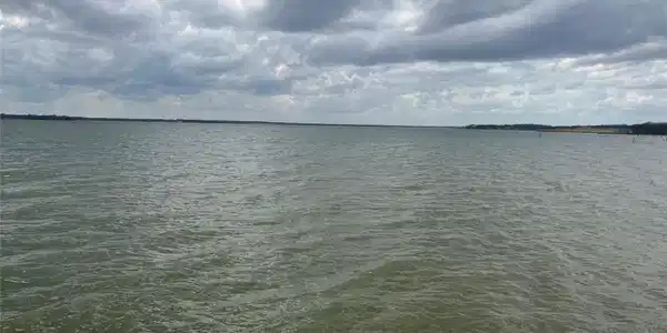 Image 4 Image 4