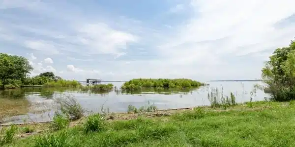 L 541 Lake View Landing Lot 541