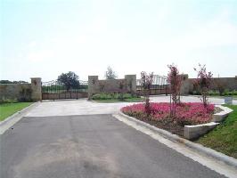 662 Canyon Wren Lot 662R