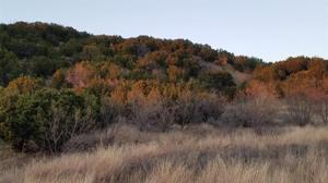 Lot 141 Lt 141 Canyon Wren Loop