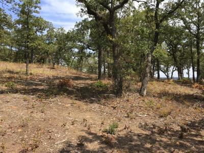 Lot 12; Scenic Hill Drive