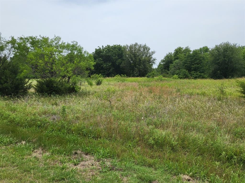 22179 Shady Grove Drive, Whitney, TX lhrmls01252465