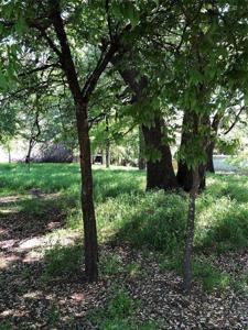 7118 Huron Trail