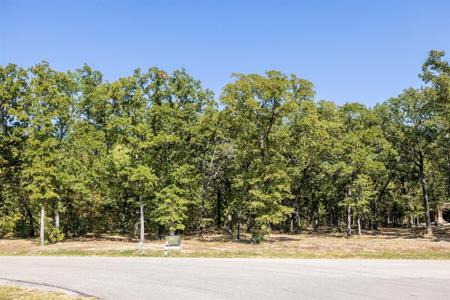 Lot 56 Vintage Shore Drive