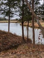 280 Roaring Fork Circle