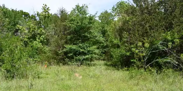 Lot 11 SE 3060