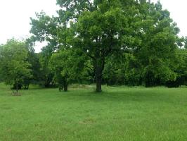 0 County Rd 3415 Lot 58+
