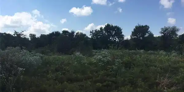 0 SE County Road 3085 Lot 1E