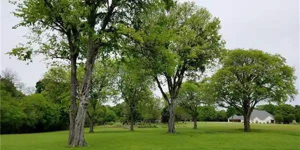 L 38 Moonlight Drive Lot 38