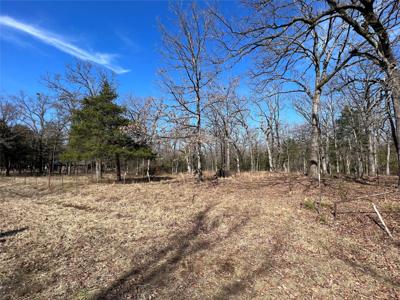 TBD County Road 3376 (Lot 68)