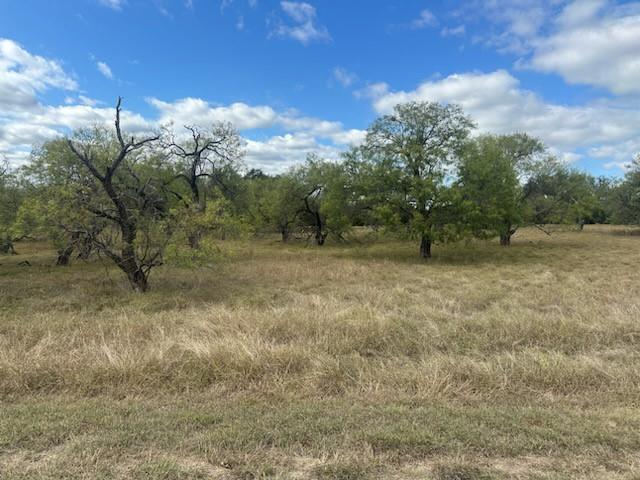Image 3 Image 3