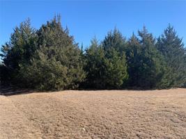 877 Clayton Drive