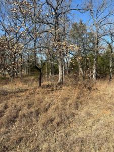 176 Oak Trail