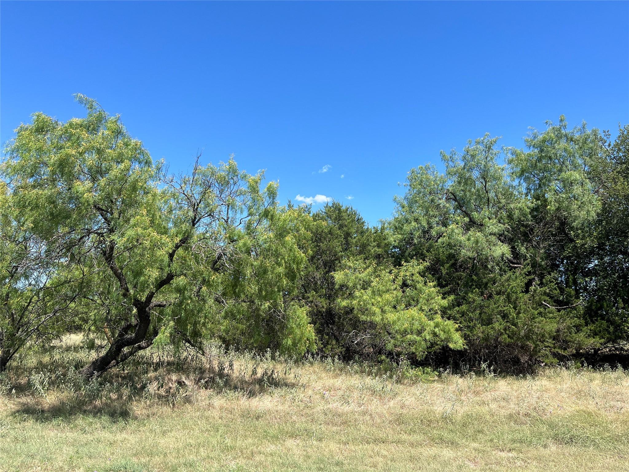 Image 3 Image 3