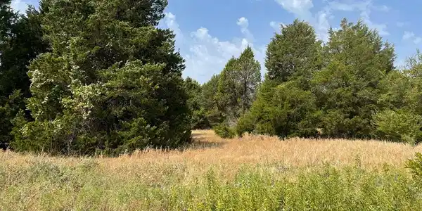 Lot 89 Jackson Circle