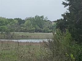 4113 Whitecrest Drive