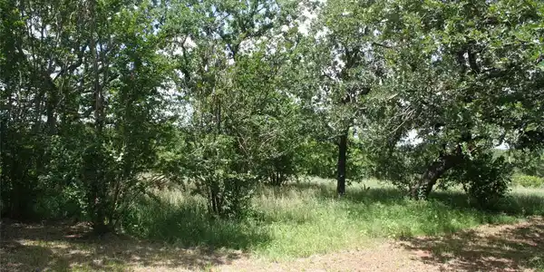 Image 2 Image 2