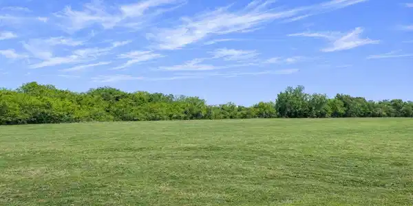 Image 4 Image 4