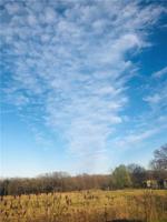 10067 County Road 2446