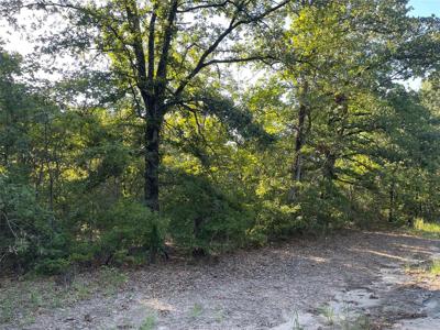 Lot 47 CR SE 4298