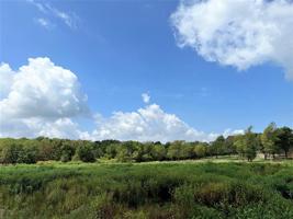 Lot 25 County Road 1953