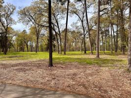Lot 39 W Eldorado
