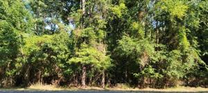 TBD Whispering Pine Trail S