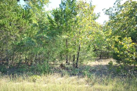 Lot 76 LOT 76 LCR 894 Drive