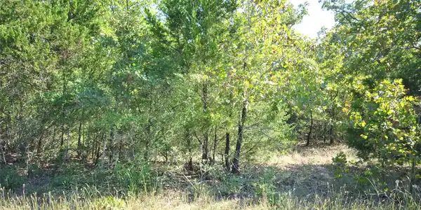 Lot 76 LOT 76 LCR 894 Drive